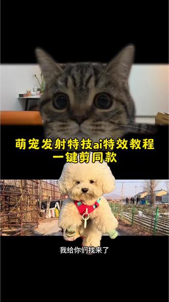 萌宠发射特技制作教程来了!#萌宠发射特技 #萌宠发射 #剪映 #小狗冲出屏幕 #萌宠发射特技教程 萌宠发射特效 萌宠发射特效教程 萌娃发射特效 萌宠发射 萌宠发射特技视频 萌宠发射视频 发射特效 萌宠发射教程 萌宠发射特效素材 萌宠发射特效搞笑视频 萌娃发射特技教程 小狗冲出屏幕教程 萌娃发射特技猫 萌宠特效剪辑教程 小猫冲出屏幕教程 小狗冲出屏幕 小狗冲出屏幕剪辑教程 小狗冲出屏幕教程运镜 人物冲出屏幕教程 小狗冲出屏幕特效 小狗冲出屏幕怎么拍 冲出屏幕教程 冲出屏幕小孩 冲出屏幕小孩怎么剪辑 冲出屏幕小孩搞笑视频 冲出屏幕小孩视频 冲出屏幕小孩原版 冲出屏幕小狗 冲出屏幕小孩图片 冲出屏幕剪辑教程 冲出屏幕特效幼儿园 冲出屏幕特效 手机剪映冲出屏幕特效制作 冲出屏幕特效制作打斗 冲出屏幕特效素材 冲出屏幕 冲出屏幕特效制作教程 简单冲出屏幕特效方法 冲出屏幕效果进入到另一个图片中 小狗冲出画面的视频怎么剪辑 小狗冲出画面 小狗冲出屏幕教程电脑版 小狗出屏视频教程 小狗跳舞视频怎么制作剪映 小狗跳出围栏怎么办 小狗怎么剪 萌宠发射特技ai 萌宠ai表演特效教程 萌宠派对ai视频制作教程 萌宠ai特效怎么拍 ai萌宠视频制作教程 萌宠特效怎么做成视频 萌宠发射特技模板怎么用 萌宠炮弹发射教程 萌宠发射其他特技教程 萌娃发射原视频 萌宠特技 萌宠发射器 萌宠大招特效展示 萌宠转场特效盘点