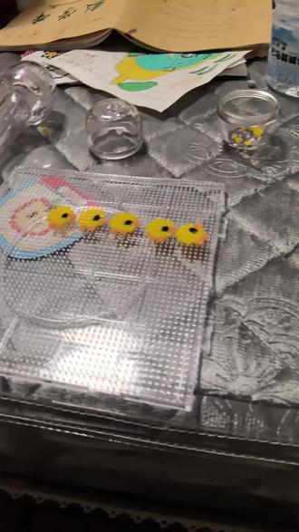 我其实还给老鸡整了鸡食#拼豆#拼豆小鸡