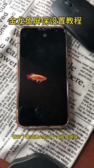 《小红和小明》金龙鱼电视屏保设置教程来了,电视养鱼教程,金龙鱼动态壁纸下载,电视机屏保龙鱼教程,金龙鱼电视屏保设置方法,电视金龙鱼屏保去哪里下载设置,#电视养鱼教程 #电视屏保 #电视屏保设置 #金龙鱼屏保怎么设置 #金龙鱼屏保怎么下载
