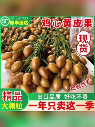 【顺丰冷链】广东鸡心黄皮果当季新鲜采摘孕妇水果无核冰糖黄皮#应季水果 #每日分享 #黄皮果