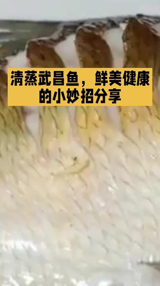 分享生活小妙招#清蒸武昌鱼#美食制作