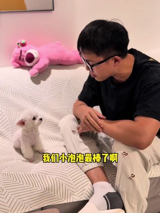 曾经那段流浪的经历,对泡泡内心的伤害真的太大了,看着让人心疼#我家毛孩子 #流浪狗不再流浪 #是宠物更是家人