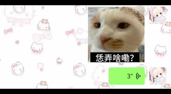 恁弄啥嘞?#河南话 #河南方言 #配音 #聊天记录 表情包来源@腊八蒜发福了