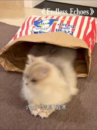 小池:狐狸精!#yynz #赫则 #广播剧