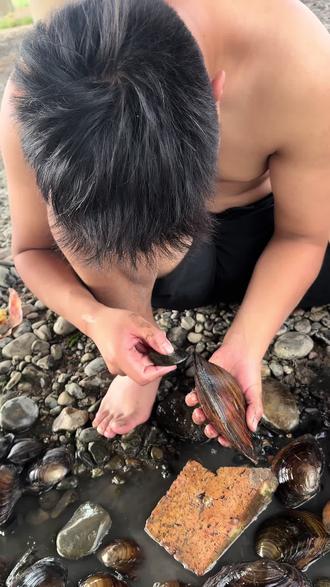 你知道哪里的贝壳有珍珠吗?#阎良石川河