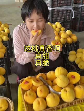 这桃真脆真甜真香#桃子#蒙阴蜜桃