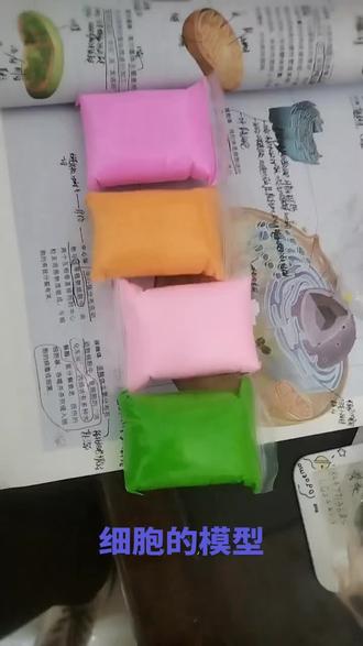 橡皮泥DIY《细胞的模型》