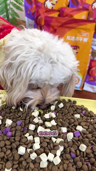 麦富迪这个狗粮真不错 荤素搭配,营养均衡,价格也划算,养狗的朋友看过来#麦富迪#麦富迪乐活狗粮