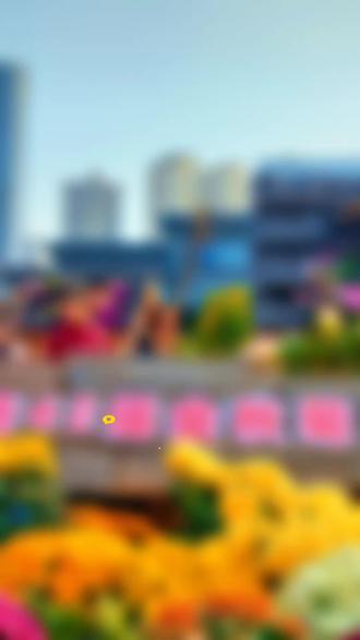 武汉市金秋菊花展,沙湖公园