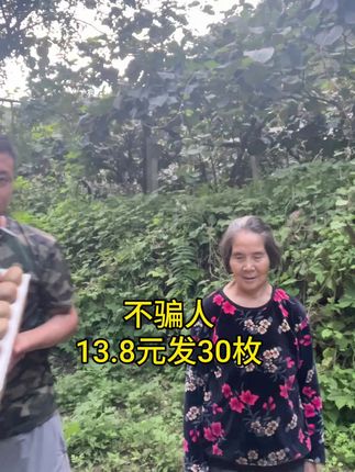 自家的徐香猕猴桃熟啦,13.8元发30枚包邮#果树种植 #猕猴桃 #猕猴桃成熟了 #周至猕猴桃 #我的农村生活