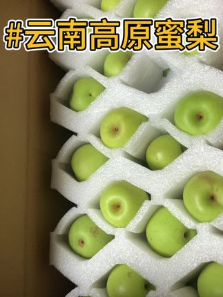 没吃过的一定要试试,真不错👍#口感特别好 #高原蜜梨 #口感特别好 #优质农产品 #快来一起尝个鲜