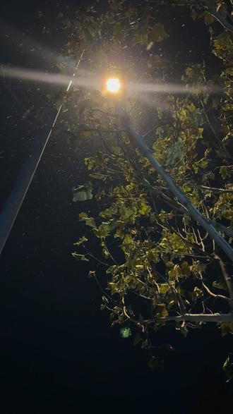 固安第一场初雪#夜景 #下雪了