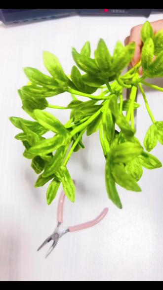 #扭扭棒花束 #手工教程 #爱手工爱生活 太阳花配叶教程