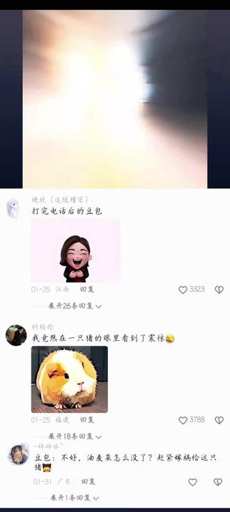 #豆包 #网友神评论 #抖音二创激励计划
这豆包太精了,小仓鼠我替你发声