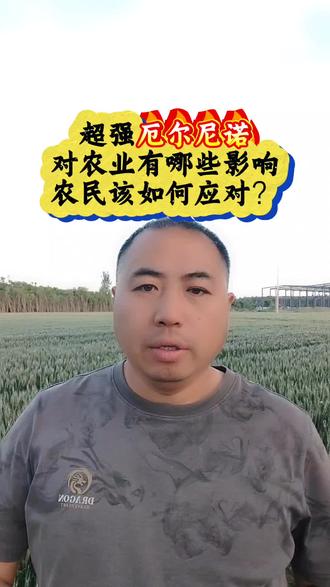 超强厄尔尼诺,对农业有哪些影响,农民该如何应对? #厄尔尼诺 #种地问题 #三农小伙