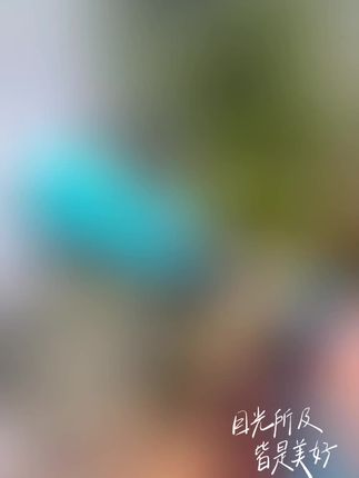 德国新款雾化打药机喷枪,台湾农用电动喷雾器高压柱塞泵果树喷雾枪,#新款打药喷枪#喷枪#果园喷枪