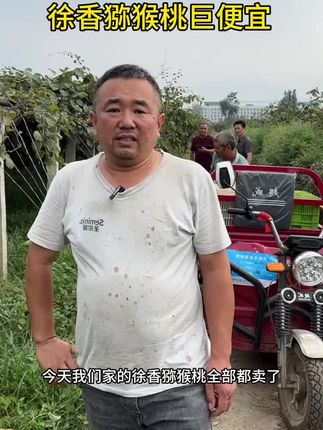 #猕猴桃 # 徐香猕猴桃