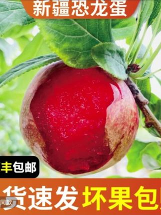 这款水果超级好吃酸甜可口味道清香浓郁食材新鲜质量尚城姐妹们备 上一单吧#好物推荐🔥 #抖音推荐官 #好东西一起分享给大家 #关注我#每天分享