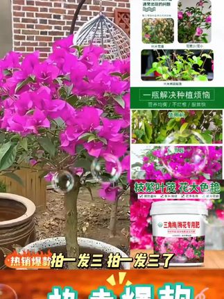 【拍一发三】纯植物有机肥氮磷钾缓释肥不烧苗园艺通用型