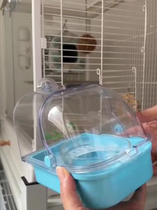 【奇妙妙】鹦鹉鸟食盒洗澡盒八哥谷壳分离鸟食杯水盆外挂鸟喂食器#鹦鹉鸟食盒 #外挂鸟喂食器 #鹦鹉防撒食盒 #手养鹦鹉 #鹦鹉日常