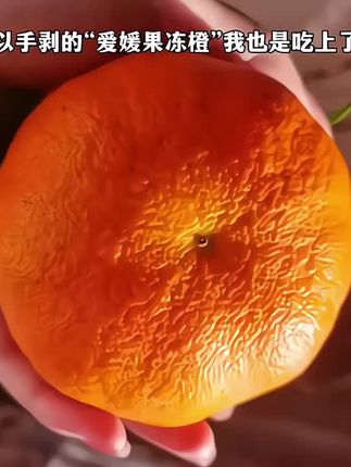 吃着像果冻一样细腻的爱媛果冻橙!皮薄肉厚清甜多汁果香浓郁,还没有籽!直接吃或者吸着吃都巨好吃!#爱媛38号果冻橙 #橙子 #应季水果#好甜好甜 #一口下去超满足