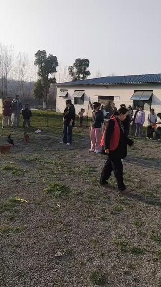 和孩子们亲身体验一下抓鸡鹅兔子