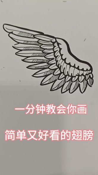 一分钟教会你画超简单又可爱的翅膀#画画 #零基础学画画#简笔画 #画画教程