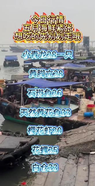 #渔民的日常生活 #创作者中心 #创作灵感 #小青龙价格 五月海鲜紧张了,想吃海鲜的加快速度哇#海鲜美食推荐