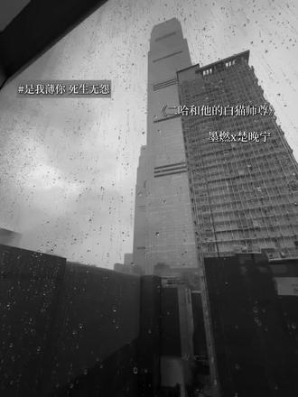 是我薄你,死生不怨#二哈和他的白猫师尊 #二哈和他的白猫师尊广播剧 #上热门