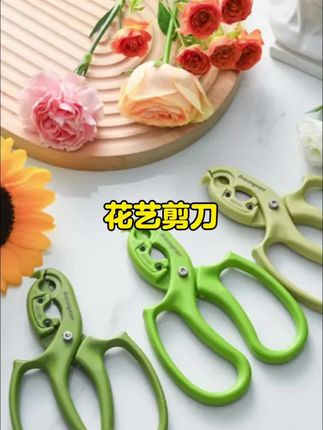 #超便宜超划算 #花艺剪刀 #插花 #剪刀 #插花艺术