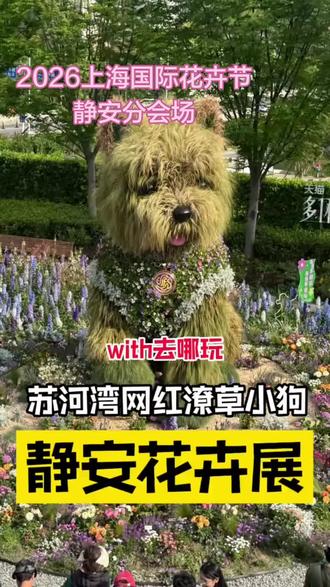 在上海,这个五一,一定要来苏河湾万象天地,这里正在举办上海静安国际花卉展,4月18日开始一直延续到5月10日,苏州河畔成了花的海洋!#五一去哪儿 #苏州河万象天地 #上海国际花展 #海红姐带你云游上海 #上海游玩推荐 (更多精彩内容请看我4月19日视频)