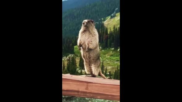 #龙族路明非
樱怒之日
凯撒家族索先生,那把零钱十分烫手吧,是否把你的骄傲烫穿了呢?你那引以为傲的镰鼬,让你清楚的听到那个姑娘全身的骨头都被撞碎的所有声音。
楚子航先生,当三度暴血的你与二度暴血的凯撒连手也无法战胜 源稚生搜 的时候,你明白你杀的究竟是夏弥还是耶梦加德了吗?当然了,阳光下再也不会有女孩低下头来亲吻你的脸了。
路明非先生,高天原的酒好喝吗?是否把你的懦弱浇灭了呢?他给你准备了张试卷,无论你写什么,他都会给你满分。但你缺考了十万零三百二十张发票都留不住你,所以你花了四分之一生命也留不住他了