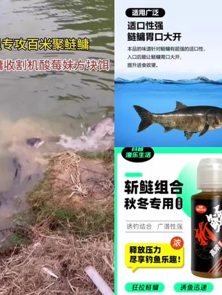 #黑坑饵料 斩鲢组合秋冬版 低温速诱 黑坑盘老板必备 南北通用 不限水域#鲢鱼饵料#饵料#鱼饵#鱼饵添加剂@小店随心推 @巨量千川 @DOU+上热门