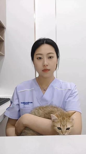 绝育术前术后的小知识