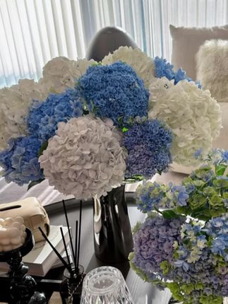 跟着露丝打卡炫腹贴 #许妍 #许我耀眼