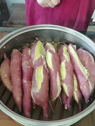正宗北田板栗红薯开挖了