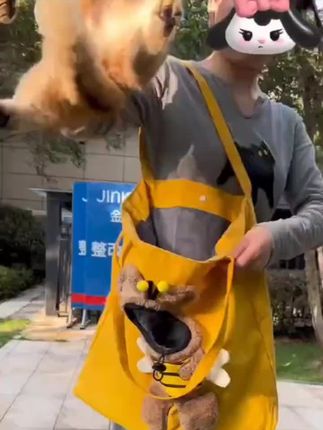 #我要上热门 谁包里还没个小可爱吖,带上出去炸街吖姐妹们,回头率超高!#猫猫背包#萌宠 #这也太可爱了吧 #可爱到爆炸