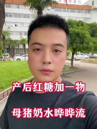 产后红糖加一物,母猪奶水哗哗流!#母猪产后没有奶怎么办 #母猪养殖 #养猪技术 #母猪
