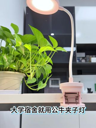 在大学经常晚上熄灯之后还要看书做表格,台灯必不可少! #夹子灯 #大一新生必看 #大一新生开学前要准备什么 #大一新生开学必备清单 #大一开学必备清单