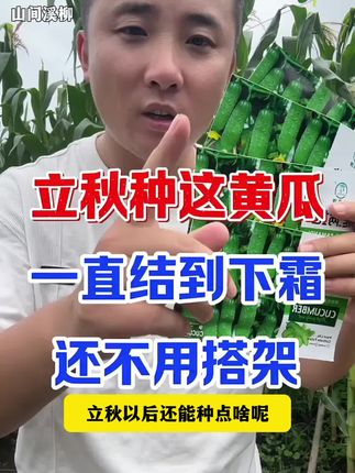 这个神奇的#黄瓜种植简单 高产又好吃的#唐山秋瓜黄瓜种子 #旱黄瓜种子 #在家种菜 #蔬菜种子