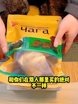 中俄边境桦树茸包邮白桦树茸煮水特别好营养浓郁#煮水 #营养 #桦树 #浓郁 #好喝