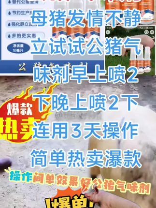 公猪畜牧气味剂添加剂#抖音推广 #服务三农支持三农 #效果好 #好物推荐🔥
