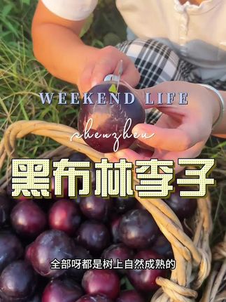 #黑布林 #李子 #黑布林甜不甜 #现摘现发新鲜到家