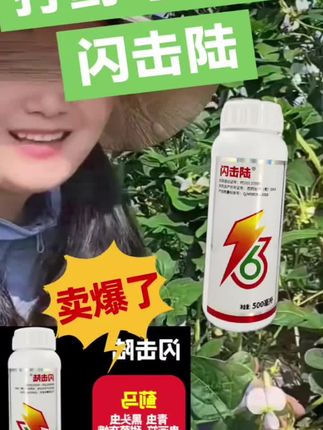 闪击陆杀虫豆角辣椒茄子葱红黄黑蓟马钻心虫青虫黑头虫鬼画符32#农村人创业 #抖音营销