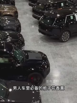 清新芬芳高级淡雅留香香膏香味持久车载香薰车内摆件汽车香水#清新芬芳高级淡雅留香#香膏香味持久#车载香薰车内摆件#汽车香水