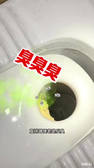 是哪个天才发明的蹲坑防臭器。#蹲便防臭器 #堵臭器 #卫生间好物 #好物推荐🔥 #小妙招大作用