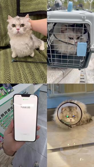 2026.3.10大头卸载QQ纪念日#绝育