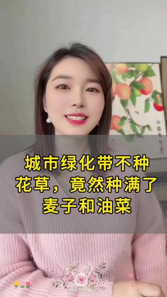 城市绿化带不种花草,竟然种满了麦子和油菜 #百姓故事 #正能量传递