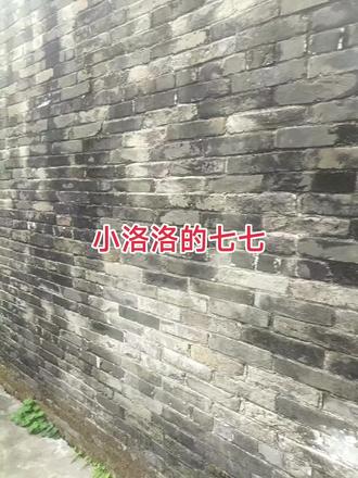 #小洛洛吖
愿天堂没有痛苦