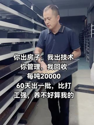 #抖音助农#农业养殖#新农人